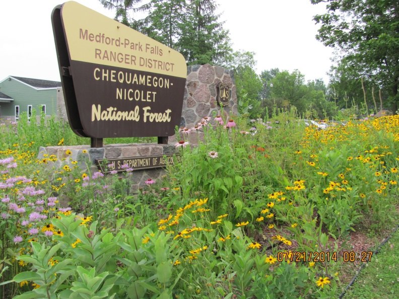 Is it possible to build a native plant garden?