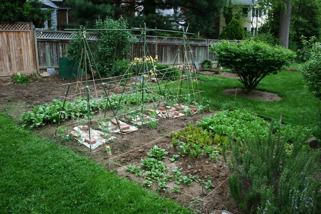 Spring garden jobs in the right order
